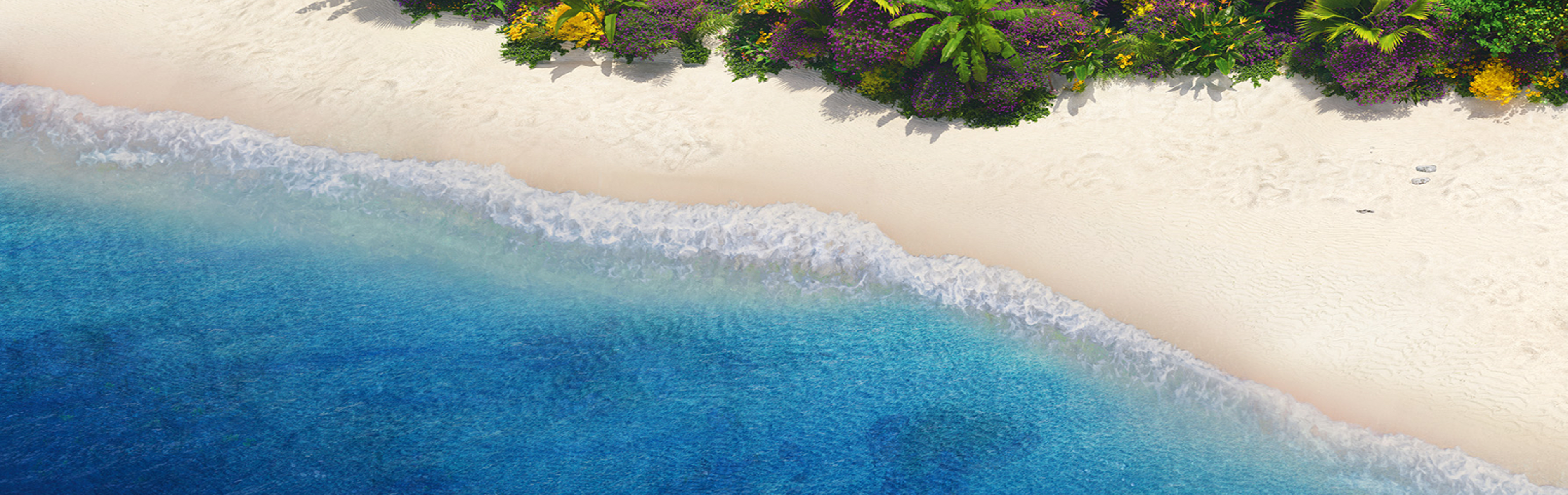 Strand, Meer und Natur von oben betrachtet