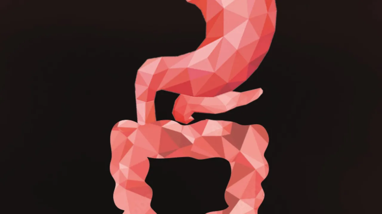 Das Bild zeigt das Takeda Oncology Forschungspreis Logo für den Krankheitsbereich Gastrointestinale Onkologie.
